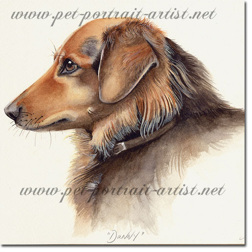 Portrait of a Dog, Danny, by Joanna Culley