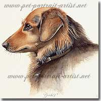 Dog Portrait of a Danny, by Joanna Culley, Pet Portrait Artist