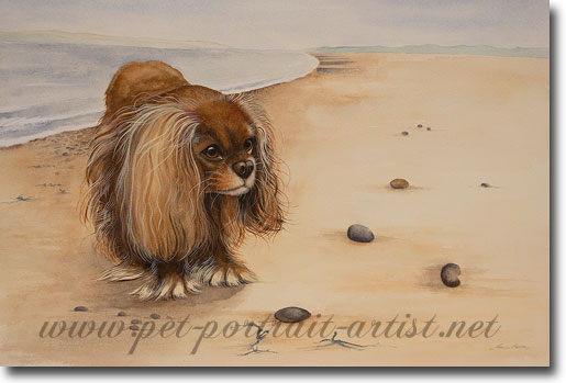 Watercolour painting of a Spaniel, Amber on a beach, by Joanna Culley acclaimed animal artist