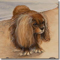 Dog Portrait of a Spaniel on a beach by Joanna Culley.