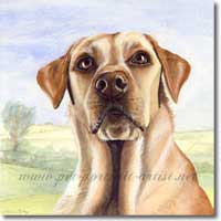 Original watercolour by Joanna Culley