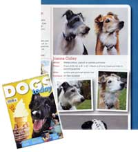 Dogs Today Information