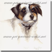 Portrait of a Jack Russell Terrier by Joanna Culley, Pet Portrait Artist