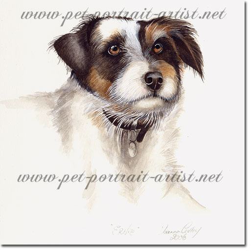 Portrait of a Jack Russell Dog, by Joanna Culley