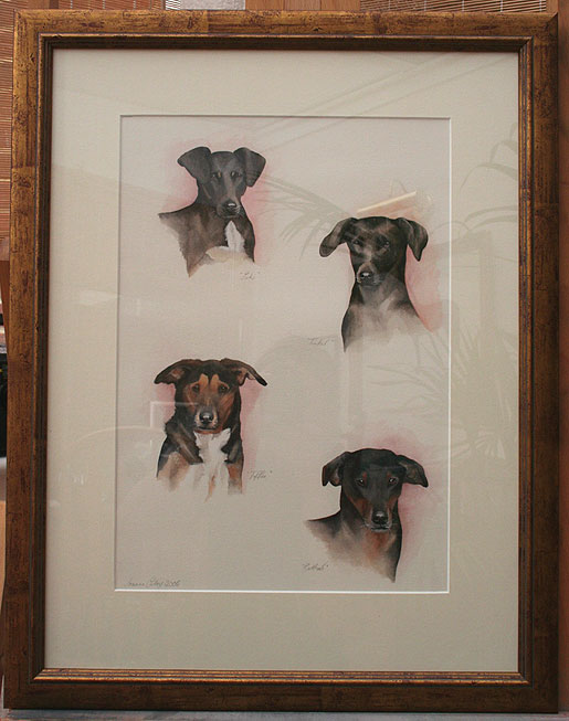 Photograph of a framed watercolour painting of a horse Jake, by Joanna Culley