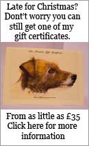Joanna Culley pet portrait artist Gift Certificate