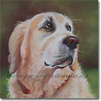 Pastel portrait of a Golden Retriever, Ben, by Joanna Culley