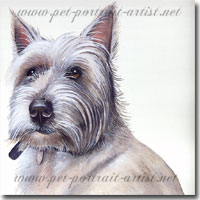 , by Joanna Culley, Pet Portrait Artist