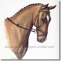 Portrait of a Horse, Basil.
