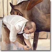 Original watercolour by Joanna Culley