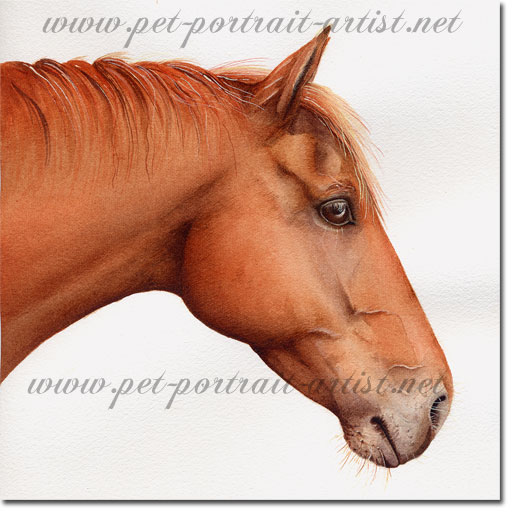 Painting of a Horse, by Joanna Culley