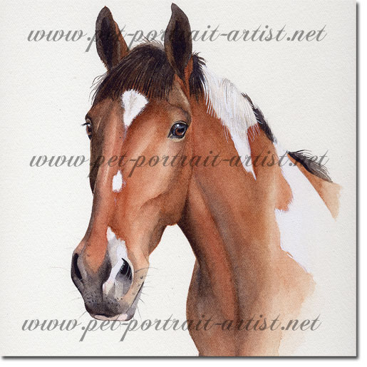 Painting of a Horse, by Joanna Culley