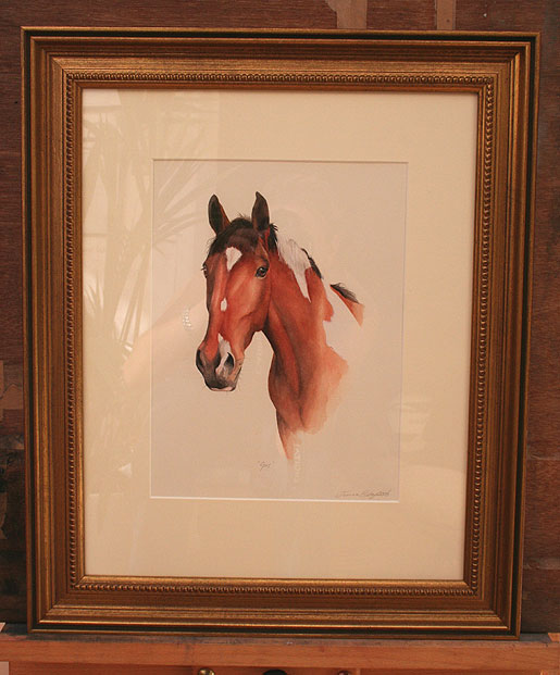 Painting of a Horse, by Joanna Culley