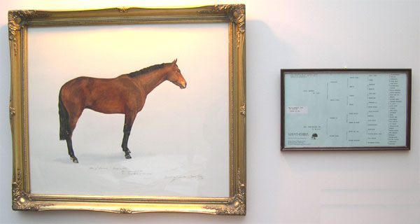 Portrait of Man of Kashmir, Thoroughbred, by Joanna Culley