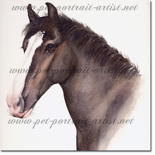 Painting of a Horse, by Joanna Culley
