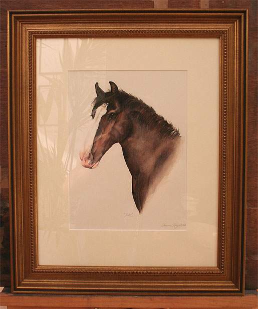 Photograph of a framed watercolour painting of a horse Jake, by Joanna Culley