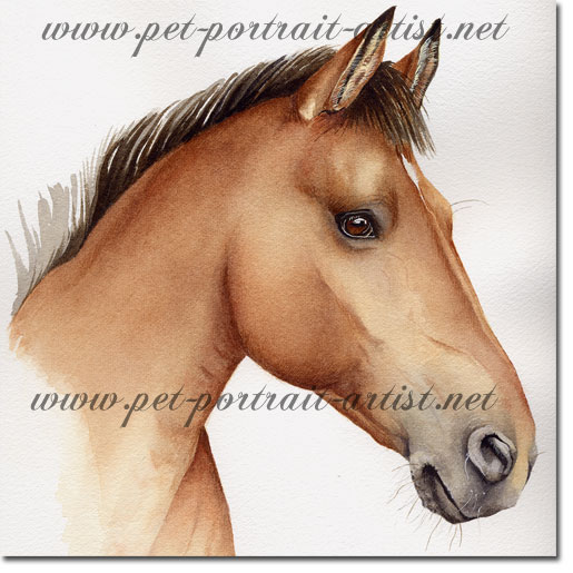 Portrait of a Horse, by Joanna Culley