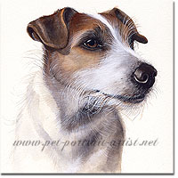 Portrait of a Jack Russell Terrier by Joanna Culley