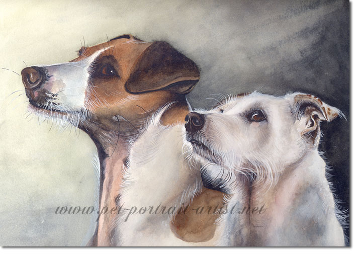 Portrait of Two Jack Russell Terriers, by Joanna Culley