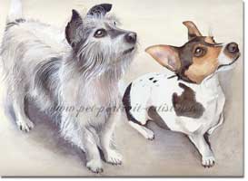 Portrait of two Jack Russell Terriers by Joanna Culley, Pet Portrait Artist