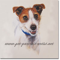 Jodi Jack Russell Terrier Watercolour Portrait