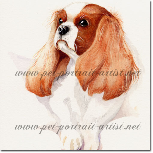 Portrait of a King Charles Spaniel, by Joanna Culley