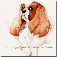 Portrait of a King Charles Spaniel by Joanna Culley