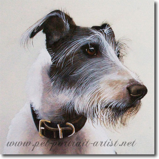 Portrait of Luca, by Joanna Culley