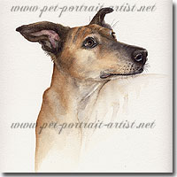 Dog Portrait of a Lurcher by Joanna Culley