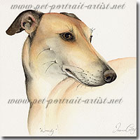 Dog Portrait of a Lurcher type dog by Joanna Culley, Pet Portrait Artist