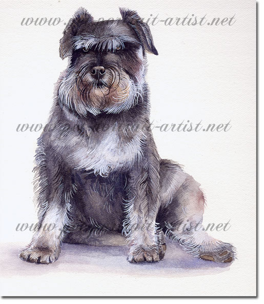 Watercolour Portrait of a fluffy dog,  by Joanna Culley