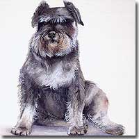 Dog Painting, by Joanna Culley, Pet Portrait Artist