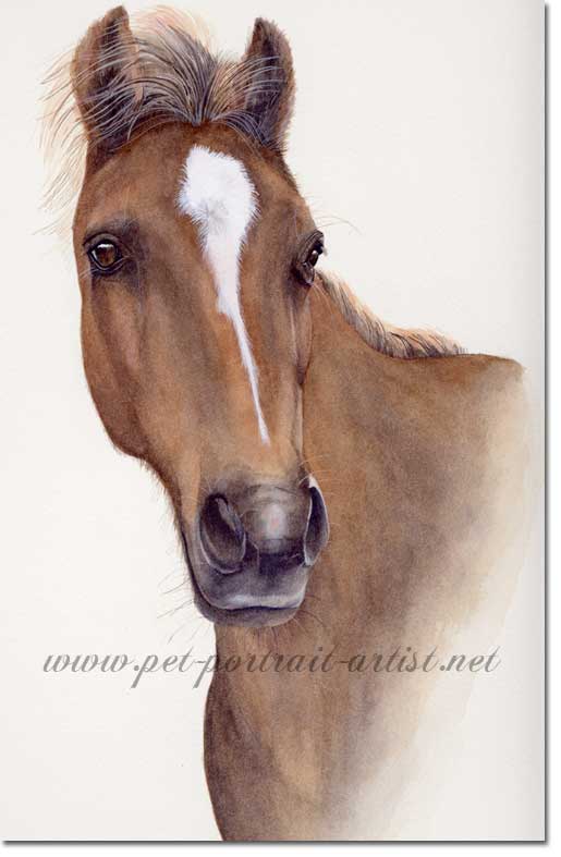 Painting of a Horse, by Joanna Culley