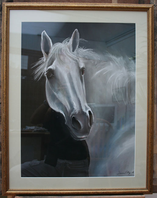 Pastel portrait of a Horse, Hobby by Joanna Culley