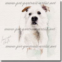 Portrait of a pet Jack Russell by Joanna Culley