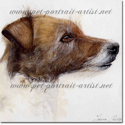 Portrait of a pet Jack Russell Terrier by Joanna Culley
