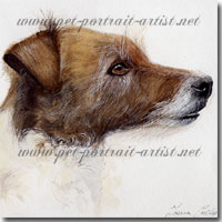 Pet Portrait of Jack Russell Terrier - Click on Image for Larger View