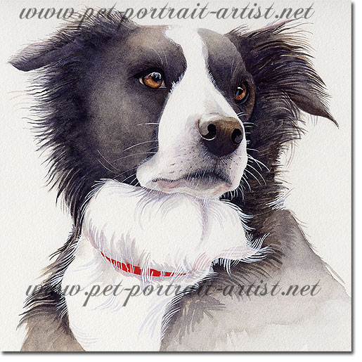 Dog Portrait of Phoebus, by Joanna Culley