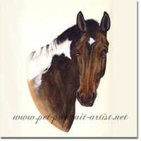 Portrait of Pinto, a Horse by Joanna Culley