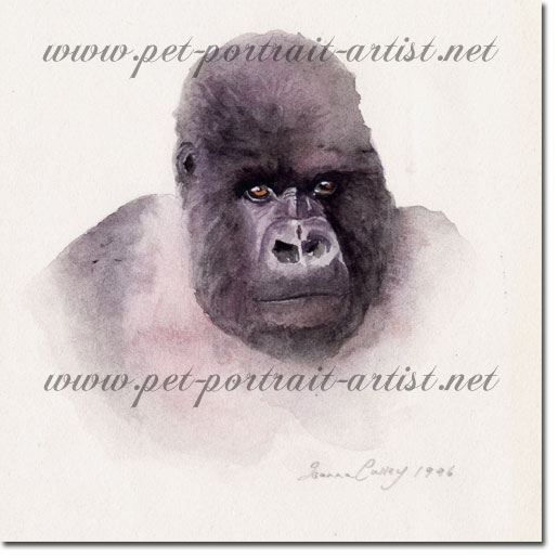 Watercolour picture of a gorilla, by Joanna Culley