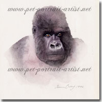Watercolour painting of a gorilla by Joanna Culley