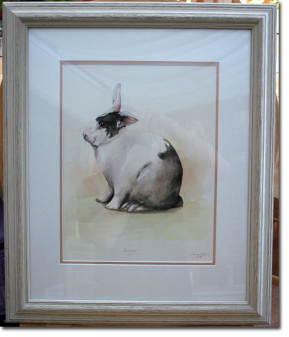 Framed portrait of a pet rabbit, Barney, by Joanna Culley