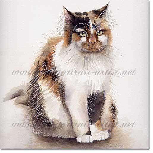 Portrait of a cat, Sheba, in watercolour, by Joanna Culley