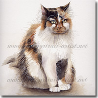 Watercolour Cat Portrait, by Joanna Culley, Pet Portrait Artist