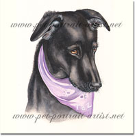 Dog Portrait of Taz by Joanna Culley