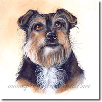Jemma - Terrier Pet Portrait, by Joanna Culley, Pet Portrait Artist