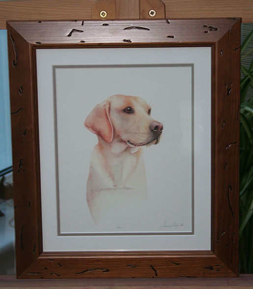 Portrait of a Labrador, Tom, by Joanna Culley