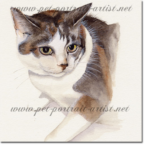 Watercolour Portrait of a cat, Elf,  by Joanna Culley