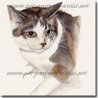 Cat Painting, by Joanna Culley, Pet Portrait Artist