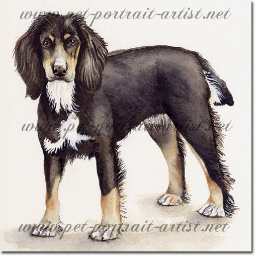 Portrait of a working Dog, by Joanna Culley